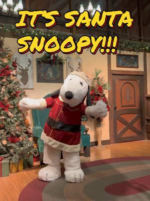 Santa Snoopy Returns to Knott’s Merry Farm 2024! #knottsberryfarm #knottsmerryfarm #snoopy #charliebrown #NewYear2025 #charliebrownchristmas #snoopychristmas #themeparks 