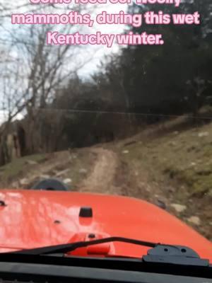 Feeding the critters this time of year is an adventure. Can not wait for the ground to freeze. #Kentucky #mud #cow #winter #feeding #jeep #trailriding #farm #babycow #fluffycow #bumpyride #bearded #farmer 