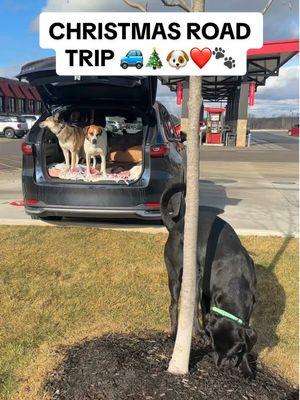 road trip home to Pennsylvania + Christmas recap 🎄🐶🚙❤️🐾 #dogmom #roadtrip #roadtriphacks #roadtripwithdogs #dogroadtrip #solotravel #sundaysdogfood 