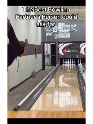 The dog was a paid actor (Insta: aanderson300) #fyp #foryoupage #trending #bowling #bowlingtiktok #AXERatioChallenge 