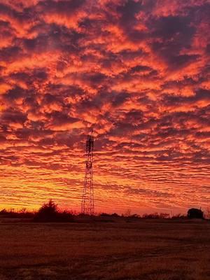 You can't outdo an Oklahoma sunset. #fyp #foryoupage #oklahoma #okc #oklahomacity  #Oklahomasunset #sunset #beautifulskies #lookatthosecolors #beautiful #loveithere #countrylife #countryliving 