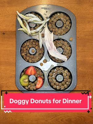 Try feeding your dog like this! 🍩🐶 #dogs #dogfood #dog #kibble #dogmom #dogtips #dogtreats #doghacks #rawfeddog #puppy #dogfeedingroutine #dogfoodrecipes #gsd