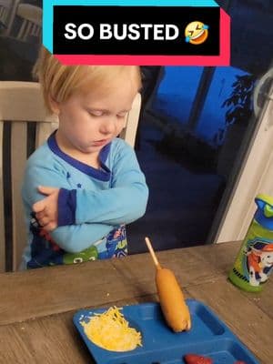 So busted lol #toddlers #dadlife #busted #funny