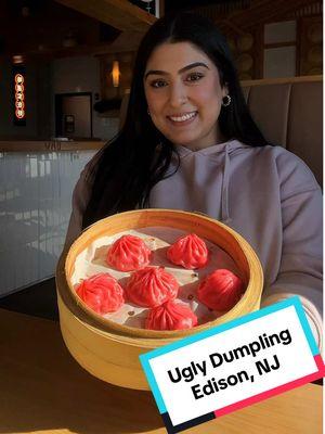 [ad] @Ugly Dumpling is now open in #EdisonNJ 🥟 #wanderingwithmariam #wanderingforeats #njeats #njfoodie #edison #centraljersey #njdumplings #dumplings 