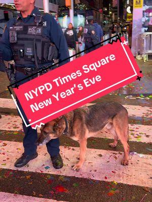 Thank you @New York City Police Dept. for keeping us all safe in Times Square last night!!! It’s no easy task to keep so many people contained in a small space safe without major incident and you did it! Thank you! They used drones, dogs, and members from all their various departments. They are experienced and trained and deserve a round of applause for last night! #nypd #nypdfinest #newyorksfinest #nyc #newyork #newyorkcity #newyorklife #newyorker #nyclife #timessquare #timessquarenyc #timessquarenewyork #secretnyc #mysecretnyc #nyctok #newyorktok #fyp #fypnyc #nyny 