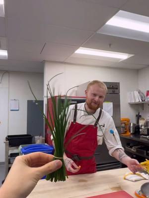 Chef @jarf005 shows the correct way of cutting chives #cook #cooking #chef #CookingHacks #cheflife #tips #cookingtips #cookingvideo #chives 