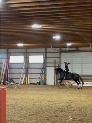 Bopping into the new year excited to see what the future holds #equestriansrelate #equestrianlife #eventing #ottb #horse #eventer #equestrian #horses #dressage #equestrianvibes #eventinglife #ottblove #horsegirl #horse 