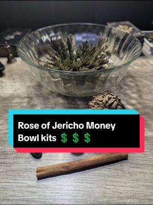 Replying to @lindseybarry591 The Rose of Jericho Money Bowl kits are in stock now!!! #roseofjericho #moneybowl 