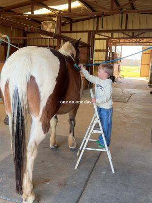 i need to be better about solo days together because i can give him so much more patience and attention and he is so happy. have you ever seen anything cuter!!!!!  #mom #momoftwo #momlife #motherhood #oldestchild #oldestson #horses #ridinglessons #3yearold #errandswithtoddler #errands #minibestie #relatablemom 