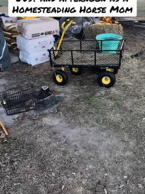 They say what you do on New Years Day you’ll do all year! Doing what I love! Homesteading, taking care of my cowkids and horses 👏🏻 #florida #homestead #homesteading #quarterhorse #ufpicnic #barrelracing #homesteadingmama #rodeomama #cowkids #farmlife #newyear 