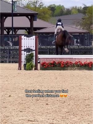 REALLY thought i was about to eat dirt on the back side.  #horseriding #horseshowlife #horseshowing #horsejumping #horsejumpingfail #horsejump #hunterjumper #hunterjumpers #hunterhorse #eq #equestrianlife #forupage #foryourpage #forupage #fyyyy #foryouuu #foruou 