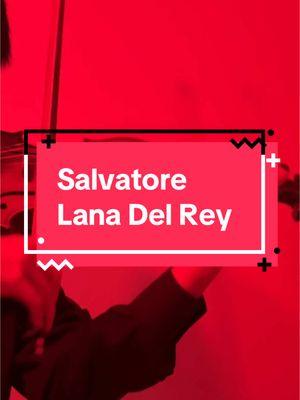 salvatore - lana del rey #lanadelrey #violincover #popmusic #salvatore #suibianmusic 