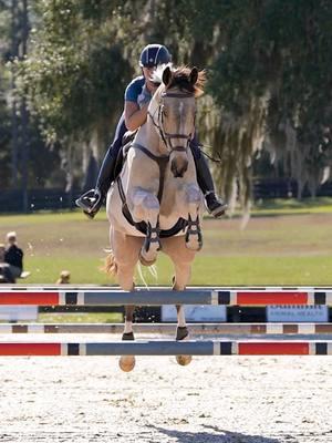 This year’s EA21 National Camp athletes are on 🔥 Full recap of the day’s educational session available online at www.useventing.com @Impulsion Media 🎥 #ea21 #ea21nationalcamp #eventing #usea #useventing 