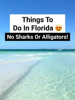 Here are some of my favorite things to do in Florida with absolutely zero sharks or alligators! Not only are these places alligator and shark free, they are also some of my favorite hidden gems in Florida! #floridatravel #floridalife #floridavacation #shark #alligator #devilsden #devilsdenflorida #floridabeaches #boktowergardens #vizcayamusuem #vizcaya #miami #floridian 