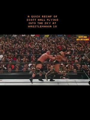 A look back at Scott Hall selling the hell out of a Stone Cold Stunner #WWE #throwback #funny #fyp #stonecold #scotthall #breakdown