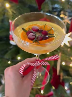 Cheers to the Holiday Season🥂🎀🍊✨ I filled mini donut baking molds with mandarin slices, rosemary sprigs, and cranberries, then topped them up with water and froze them. Just pour some sparkling wine over them, and that's it👏! The ice cubes are super easy to prepare and, most importantly, they look great in sparkling water or tonic water👍. By the way, cranberries have no seeds, so you can eat them directly. They are slightly sour but super refreshing. #cocktails #drinks #foodinspiration #holidaydrinks #newyearseve #newyear #preparenow #partyideas #partydrink