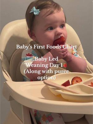 Strawberries were a hit😉 #babyledweaningideas #babyledfeeding #babyledweaningrecipe #babyledweaning6months #babyfoodrecipes #babyfoodideas #babyfoodie #babyfirstfood #strawberry #strawberries #blwideas #blwrecipes #baby #babiesoftiktok #babytok #babyfever #babytiktok #babylove #mom #MomsofTikTok #momlife #momtok #momhack #momcontent #momcontentcreator #6months #6monthsold 