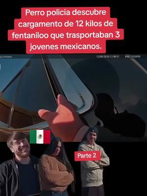 Perro policia descubre cargamento de 12 kilos de fentaniloo que trasportaban 3 jovenes mexicanos.#usa #chicago #newyork #sanfrancisco #oakland #bayarea #sanjosecalifornia #losangeles #california #texas #phoenix #lasvegas  #chicago #miami #florida #orlando #houston #dallas #sacramento #elpasotx #sandiego #newjersey #charlote #washingtondc #tacona #seatle #siliconvalley #videostristes  #fypシ゚viral #foryou #videoviral #parati #videoviralitiktok #videosparati❤️❤️viral #michoacana🇲🇽🥑🐓 #michoacana🇲🇽🥑🐓 #michoacan #guanajuato #cops  #criminales  #crimen  #tiktok #california #usa #videostristes  #raza #paisanos #vendedoresambulantes #zacatecas  #fypシ゚viral #foryou #videoviral #parati #videoviralitiktok #videosparati❤️❤️viral #michoacana🇲🇽🥑🐓 #michoacana🇲🇽🥑🐓 #michoacan #guanajuato #tiktok #california #usa  #entretenimientoparati #entretenimientotiktok #entretenimiento #entretenimientoencasa #espectáculos #chismes #chismestiktok #cubanosporelmundo #cubanosenmiami #cubanostiktok #cubanos 