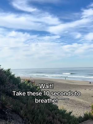 Take a pause and breathe, relax your body! Start the year off relaxed! #sanfrancisco #sanfranciscotiktok #fyp #oceanbeach 