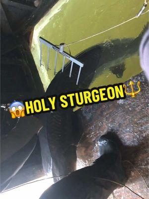 😱HOLY STURGEON 🔱🧊🐠 #icefishing #htenterprises #cootslures #Outdoors #ice #winter #sturgeon #sturgeonspearing #throwback 