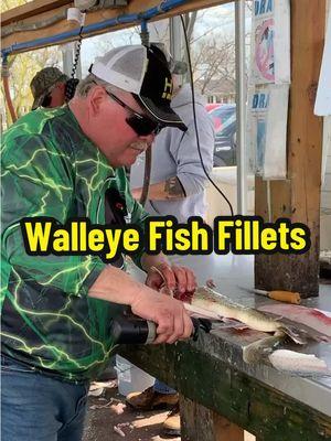 Walleye Cleaning #cootslures #lakeerie #howto #walleye #fishing #cleaningfish #fishfillet 