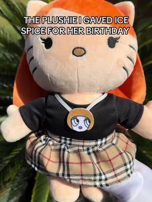 Happy birthday bestie 💖 #icespice #icespicecult #smoochspice #icespicee #munchkins #plushie