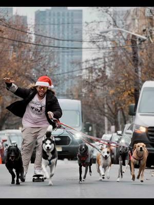 You haven’t truly experienced Hoboken until @Justinianskateswithdogs has blown by you with his crew on their daily skate around town! #photography #dogs #dogwalking #skateboard #hobokennj #hoboken #newjersey #fujifilm #xt5 