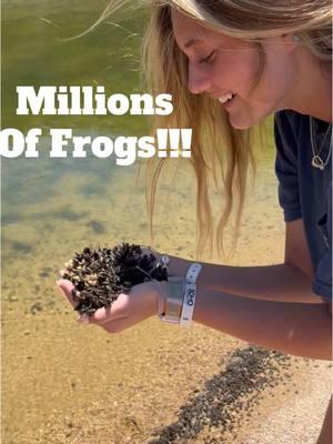 Here is a longer version of my most viewed video of 2024! My daughters and I happened upon this beach in Yelapa Mexico where there was a lagoon or maybe a slow moving river where there were millions of baby frogs. Or at least baby sized frogs! There were tadpoles in the water and there were seagulls feasting on them before we walked up. #babyfrog #frog #fyp #foryou #viral #mexico #scream #ew #gross #trypophobiawarning #wild #cluster #insane #toad #frogsoftiktok #frogs #beach