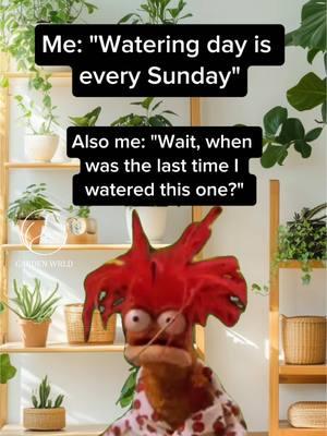 Too many plants to keep track of😂 #houseplants #garden #plantlovers #plantstuff #plantrelated #plantshopping #plantcare #houseplantcare #houseplantjournal #plantjournal #trailingplants #pots #garden #indoorgarden #gardeningtools #memes #plantmemes 