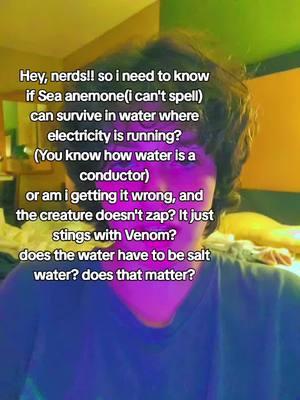 pspsps come aut^istically explain something to me pspspsps. Come info dump pspspspsd #pspspspsps #autis #autism #seacreatures #seaanemone #water #science #stem 