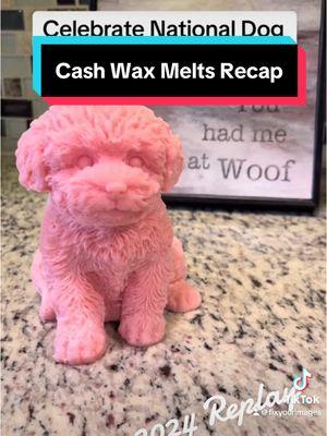 Apparently I melted a lot of wax in 2024. 😂 #fyp #foryou #cashwaxmelt #cashsurprise #giantwaxmelt #waxmelts 