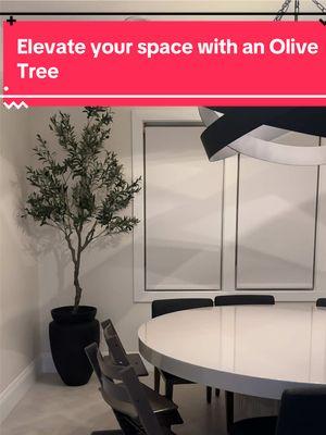 Bring a touch of timeless elegance to your space with this stunning Olive Tree! Known for its rich history and vibrant green leaves, this magnificent plant symbolizes peace and prosperity. Cultivate beauty and tranquility—let this graceful tree be a centerpiece in your home! #olivetree #fauxolivetree #toptierjanuary #mademyyear #homedecor #kitchen #Home 