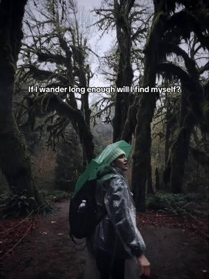 Off to the forest I go, to lose my mind and find my soul - #hallofmosses #nature #nature #Hiking #envrionment #landscapephotography #photography #quotes #forest #rainforest #nationalparkspartnership #curiosity #wildlife #folkgreen #lifequote #Hiking #lifelesson #hohrainforest #earthfocus #exploremore #olympicnationalpark #discoverearth #nature #wildlifephotography #planetearth #nationalgeographic