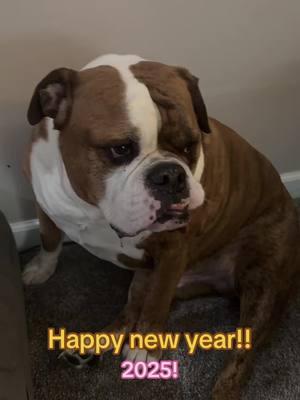 #newyear #2025 #puppylover5474 #dogsoftiktok 