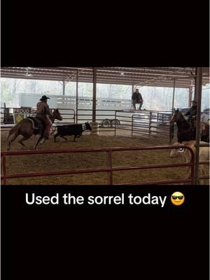 @CheyenneGrace 🐂 #cowboy #ranchsorting #sorting #filly #redmare #fyp 