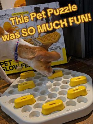 What are fun activitie! I'm seriously excited to play with her on this again tomorrow!! 🐕 My puppy is obviously BRILLIANT!! 🤩 #petpuzzle #dogpuzzle #dogsoftiktok #doglover #dogmom #smartpuppy #puppuzzle #dogmusthaves #dogmom 