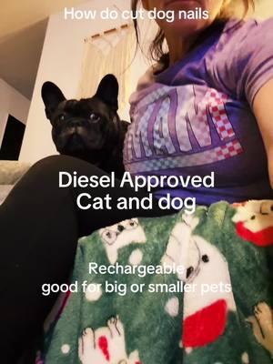 #rexipet #rexipets #rexipetsonamazon #rexipetsdog #rexicats #rexicatnailtrimmers#caninenailteimmer#feline#felinenailtrimmers#rexipetsdog #@Rexipets #rexipetslove #rexipetsnailgrinder #rexipetsisthebest #trimmer #easytrimmer#dognailscut #dognails #cuttingdogsnailstrick #dognailgrinder #grinderfornails#showdogs#showcats#grooming#petgrooming#dogcare#groomers#dogowners #dogowners#frenchiesoftiktok #frwnchielove #frenchiesociety#frenchiesoftiktok #frenchbulldog#groomingfrenchies#frenchbulldoggroomer#frenchiemomma #frenchbulldogsoftiktok #frenchiesquad #groomingday#vets#veteinarianlife #vetrinarianmedicine #vettech#groomerslife #groomers#dogbathessentials #dogandcat #dogdadsoftiktok #catdads#doglover #dogmom#catlovers #catmom#catlady@Swifties Taylors fans #rexishop#TikTokShop#zon #onthezon #animallovers#travelneccesities #dogshow#travelingwithdogs #showdogsoftiktok #obedientdogs#cutedogs#muttsoftiktok #purebreddogs #petlivesmatter #petsoftiktkok 