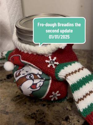 Just a quick update superlate so I didn't film a whole video. Fro-dough Breadins the second update #sourdough #sourdoughstarters #breadtok #influinced #bread #sourdoughbread #dough #newyear 