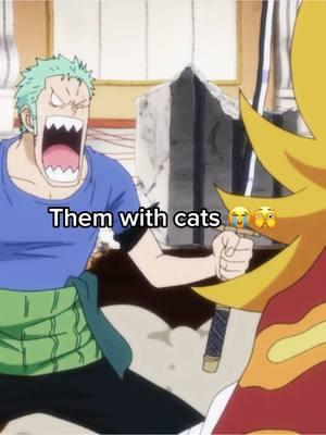 Robin playing with Nekomamushi while Zoro wants to fight 🫣 #zoro #robin #chopper #zorobin #zoroxrobin #robinxzoro #onepiece #nicorobin #fypシ #anime #manga 