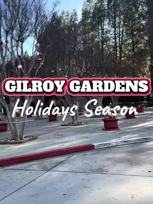 This is your sign to take your family to @Gilroy Gardens during the Holidays 🎄❄️🎁☃️🎅🏻 Had a great time with the family !❤️ #gilroy #gilroycalifornia #gilroygardens #toddlerapproved #familyfriendly #toddleractivities #toddlerpark #thingstodo #foryou #photospot #photospotsinca 