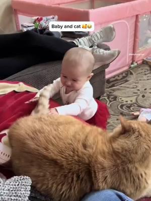 Baby and cat #funnybaby #babiesoftiktok #baby #foryou #funny 