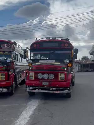 Trans Velásquez 🚍🇬🇹#viral #busesguatemala #parati #fyp #buseselegantesgt #🚍🇬🇹 #busesmodificadosenguatemala #🇬🇹🇬🇹 #guatemala #buses #buseselegantes #500k #B🚍G🇬🇹 