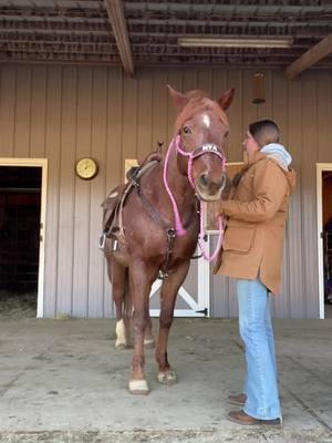 Mya moo ♥️ #ridingonfaithllc #faithoverfear #foryou #jesuslovesyou #jesussaves #glorytoGod #kimesranch #horsebarn #redmare #redroan #mare 