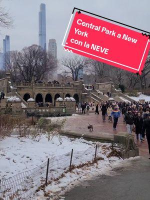 Central Park a New York  con la neve #MagnagatiInAmerica #centralpark #newyork #neve 