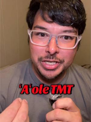 ʻAʻole TMT. No to the Thirty Meter Telescope. We do not consent to the desecration of our Mauna. We reject the colonial insistence to give up our land and connection to it. #Native #Hawaiian #Hawaii #Kanaka #Maoli #Oiwi #Indigenous #colonization 