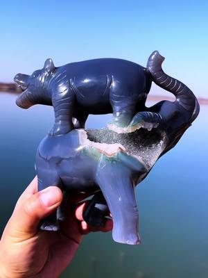 Unique crystal carvings! Druzy agate elephant with hippo 🦛 #crystalcarvings #crystalshop #crystalcarving #crystalsculpture 