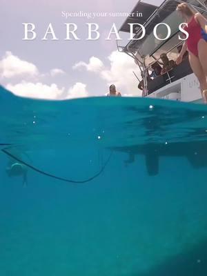 🌴 Dreaming of Barbados? We Are! 🌊 Exciting news—CDC Travels is heading to Barbados this April! ✨ Stunning beaches 🍹 Vibrant culture 🏖️ World-class resorts and activities Stay tuned for our upcoming adventure and insider tips as we explore this tropical paradise! Contact us to plan your own getaway to Barbados. #BarbadosBound #TropicalParadise #CDCTravels #TravelWithUs