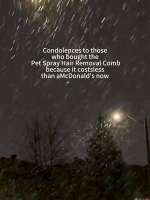 Removes that doggy smell and loose fur at the same time – the spray comb is like giving your dog a bath in one go.🔥#pet #dog #spraycomb #fyp #petcleaning #cat #fyp #spraycomb #spraybrush #cats