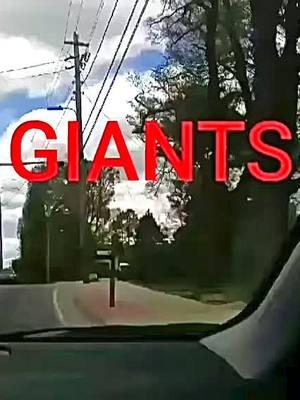 Giants #giant #giants #titan #deity #skygod #clouds #heaven #beyond #blue #firmament #dome #trap #snowglobe #educational #research #visual #viral #hidden #5gtower #wren #pandorasbox #projectbluebeam #reset #veil #forest #tree