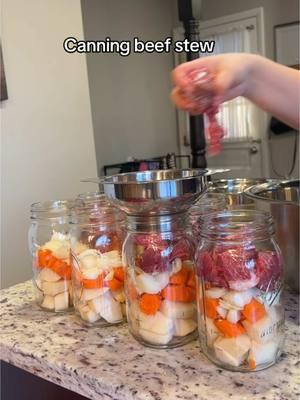 Preserving comfort in a jar! 🍲 Canning homemade beef stew for the perfect hearty meal anytime. #Canning #BeefStew #FoodPreservation #HomemadeMeals #PrepperLife #DIYKitchen #FallRecipes #CanningSeason #FarmToTable #SlowCookedGoodness #Homesteading #MealPrepGoals #canninglife 